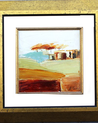 אדרואנה נאווה 358 אדרואנה נאווה 358